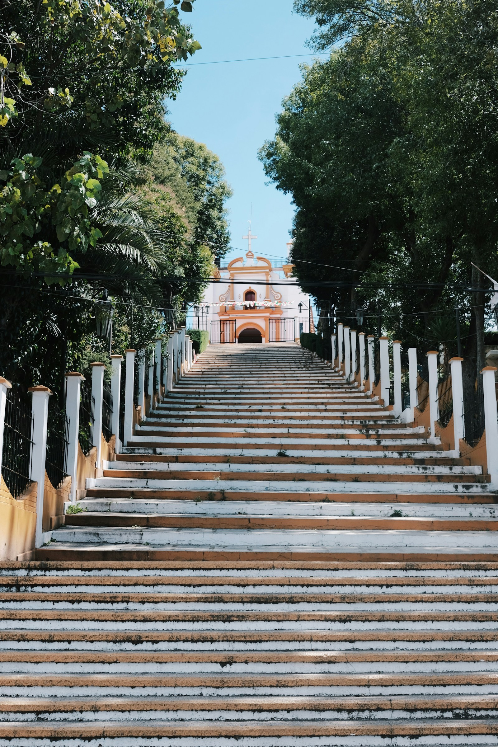 Escalera larga entre arboles en San Cristobal de las Casas